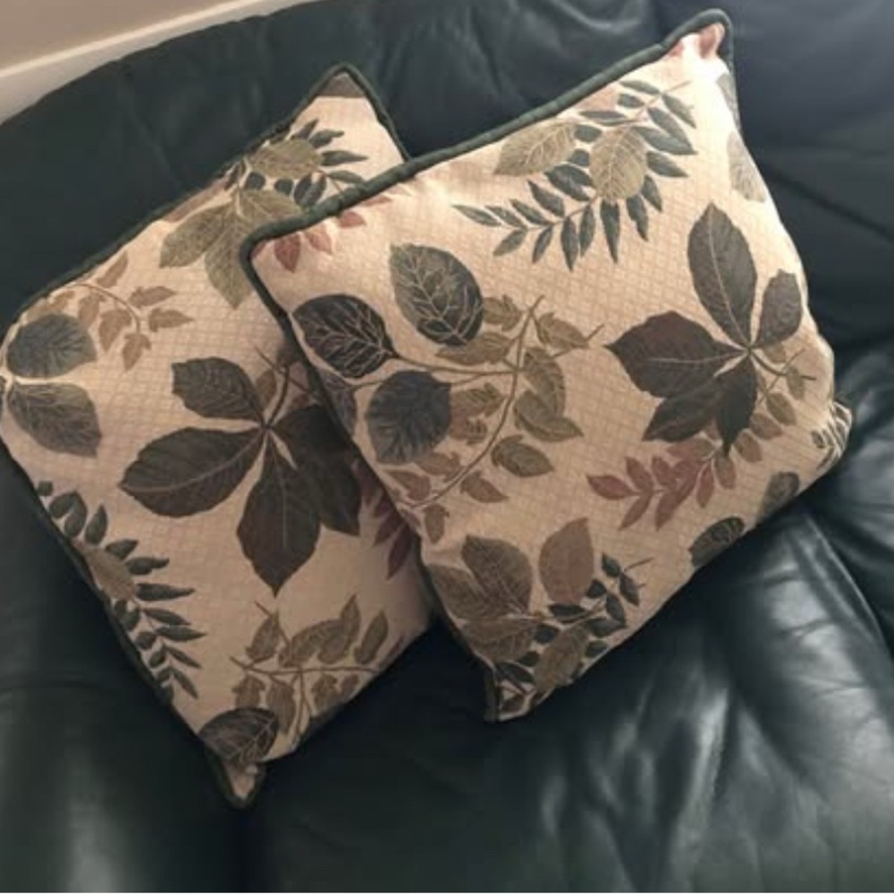 2 Custom Made Decorative Throw Pillows